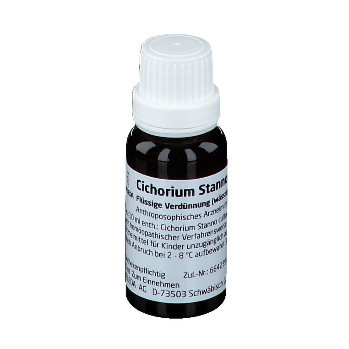 Cichorium Stanno cultum Rh D3