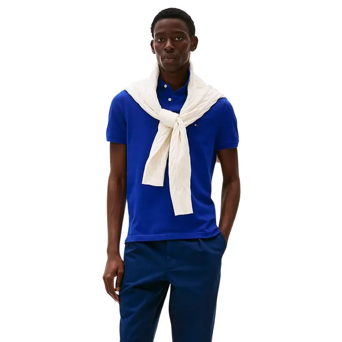 Tommy Hilfiger 1985 Regular Polo Heren