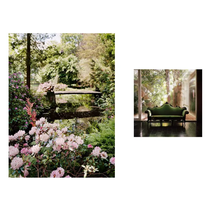 Rizzoli François Alard 2 : a visual diary