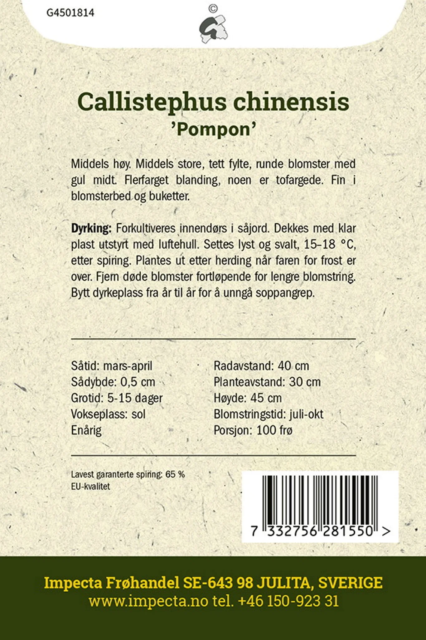 Callistephus chinensis 'Pompon' Sommerasters 'Pompon'