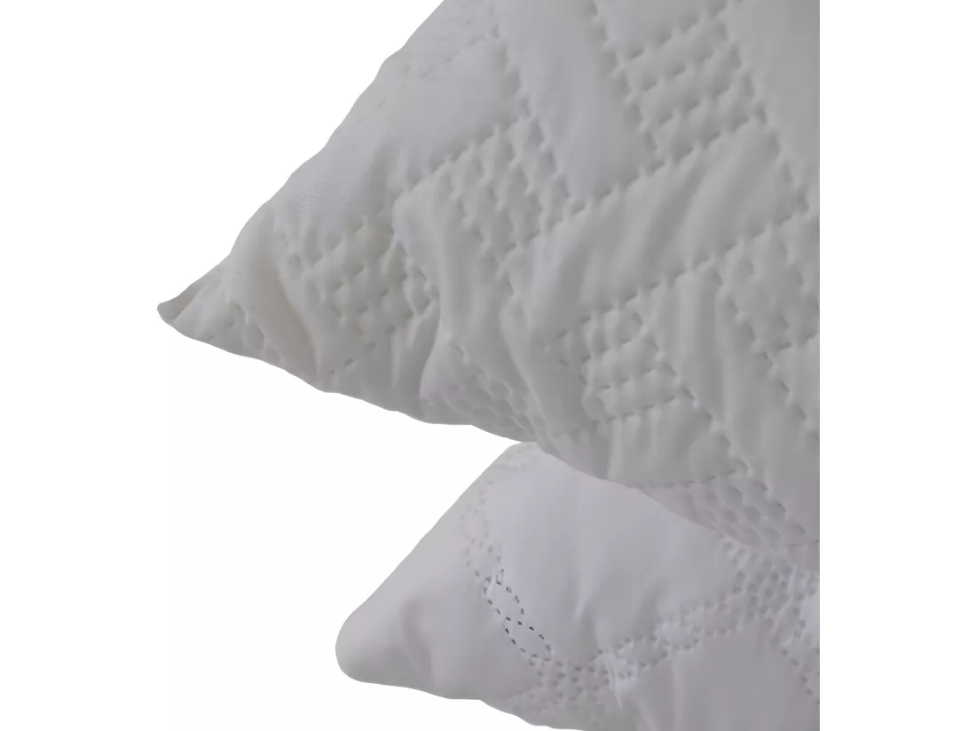 2 Oreillers en flocons accueil mémoire de forme - 60x60cm