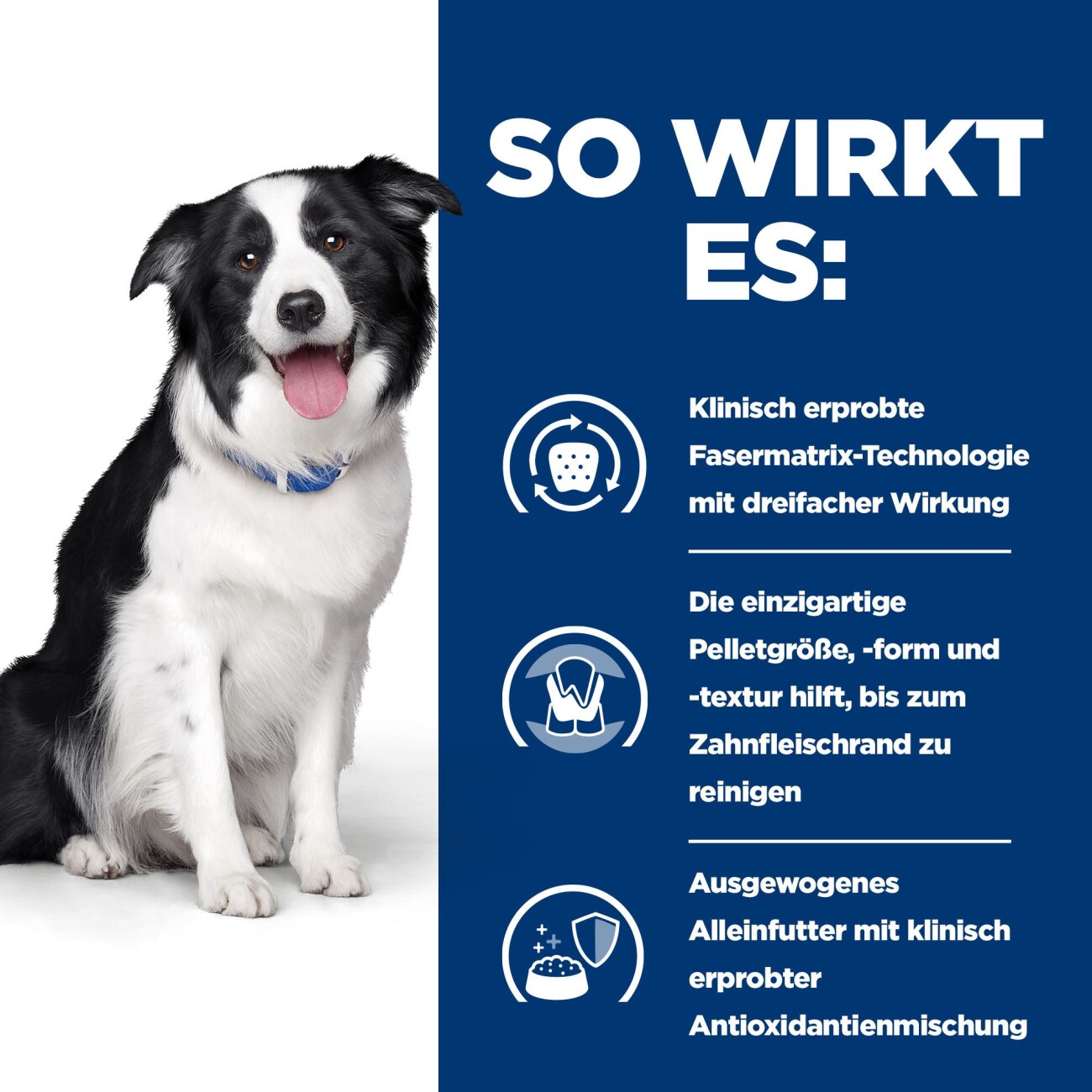 Hill's Prescription Diet t/d Futter zur Zahnreinigung 10 kg