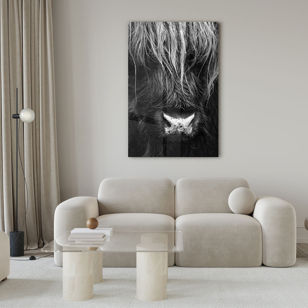 Walljar acrylglas schilderij - Close up Ox Acrylglas schilderij - 70 x 100 cm