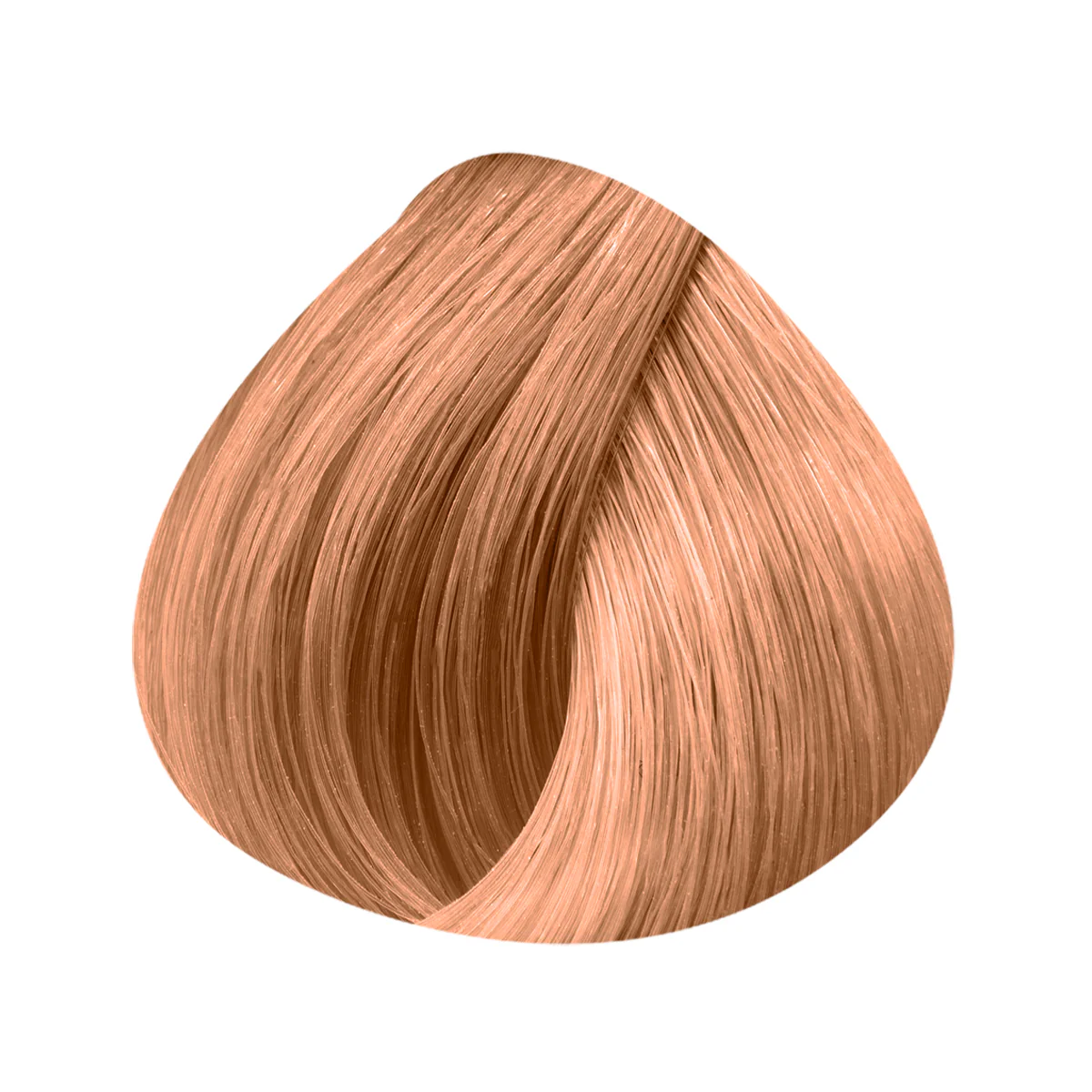 10 Mèches Naturelles Lisses Premium 45/55cm