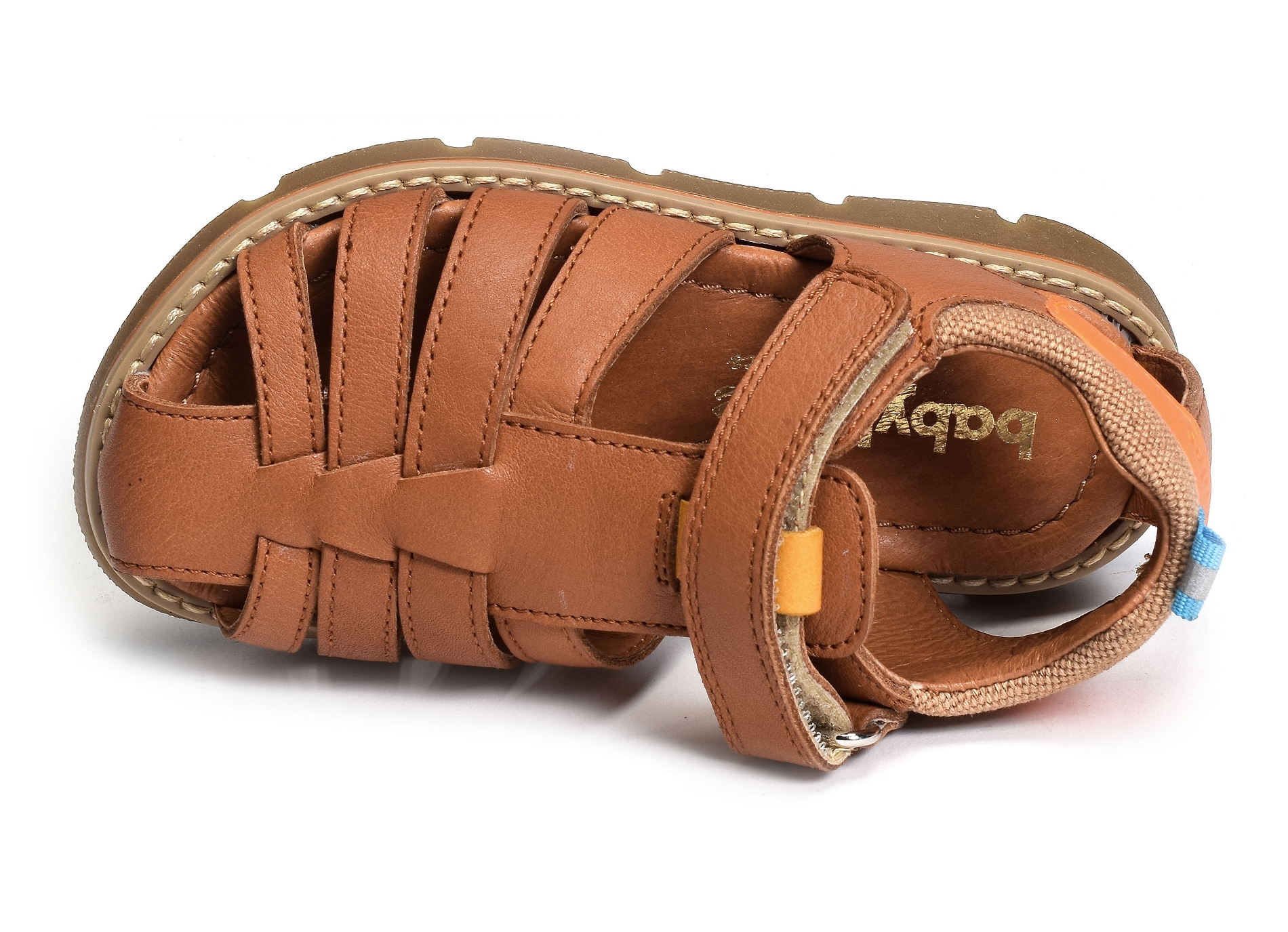 Kiko camel