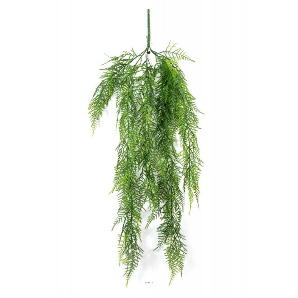 Chute d'asparagus artificiel l 75cm vert