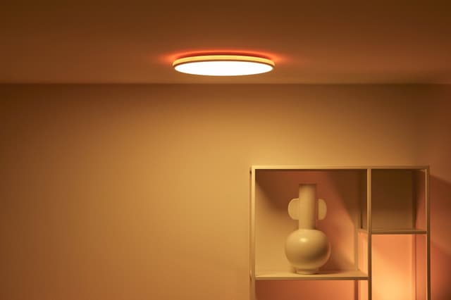 WiZ loftslampe 929003209101