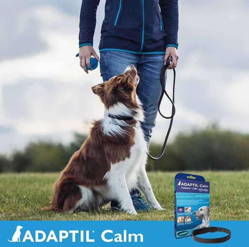 Adaptil - Halsband - Kalmeringsmiddel - Voor Honden