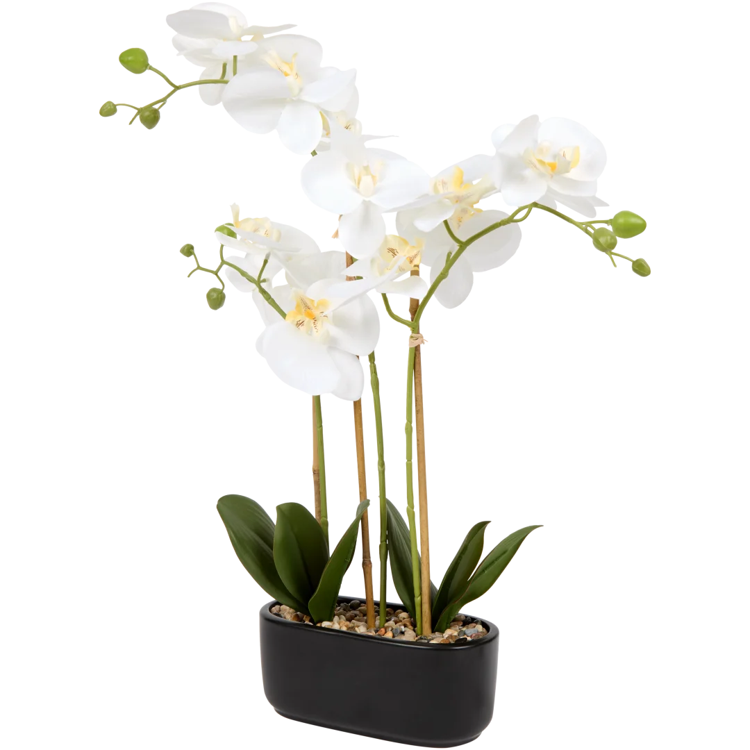 Orchidée artificielle en pot