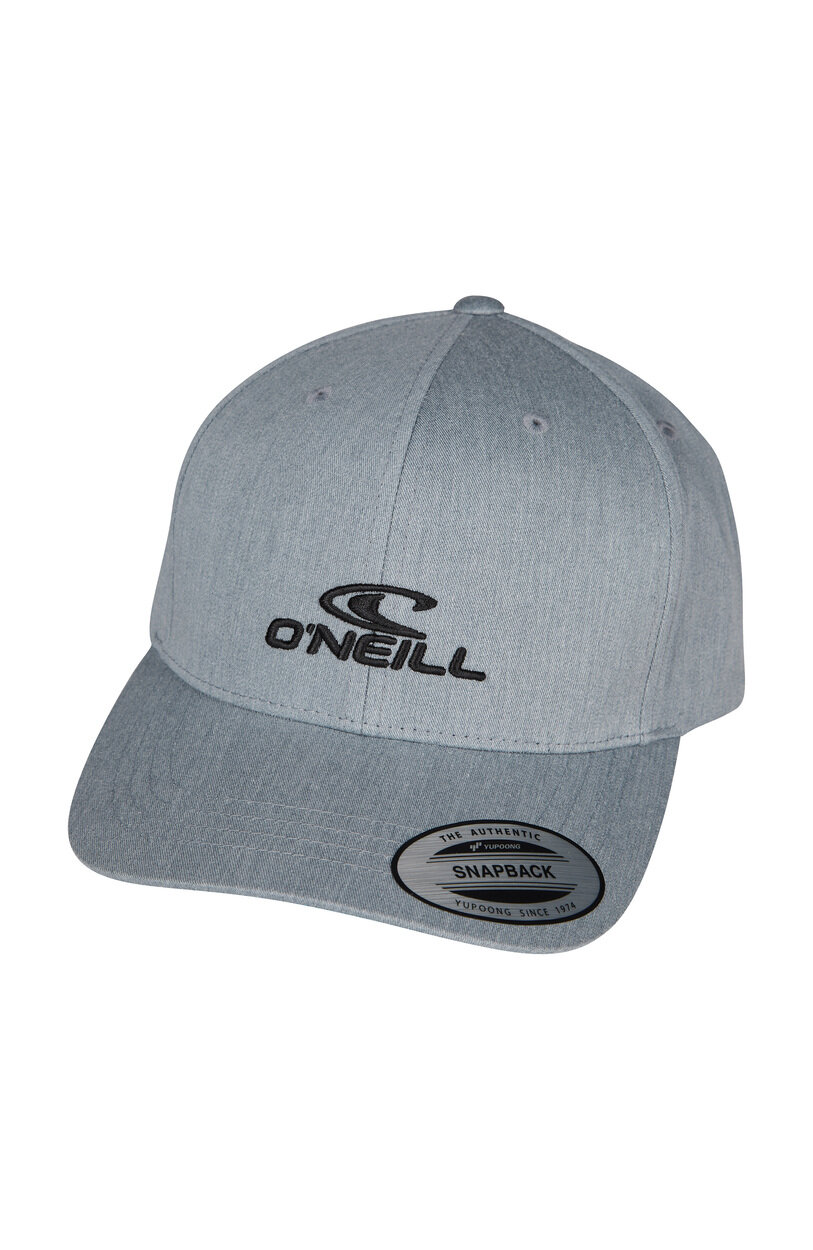 Logo Wave pet O`Neill Zilver