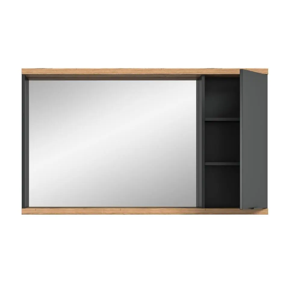 Hioshop Nuaro spiegelkast 1 deur grijs