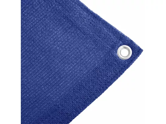Tapis de tente 250x550 cm Bleu