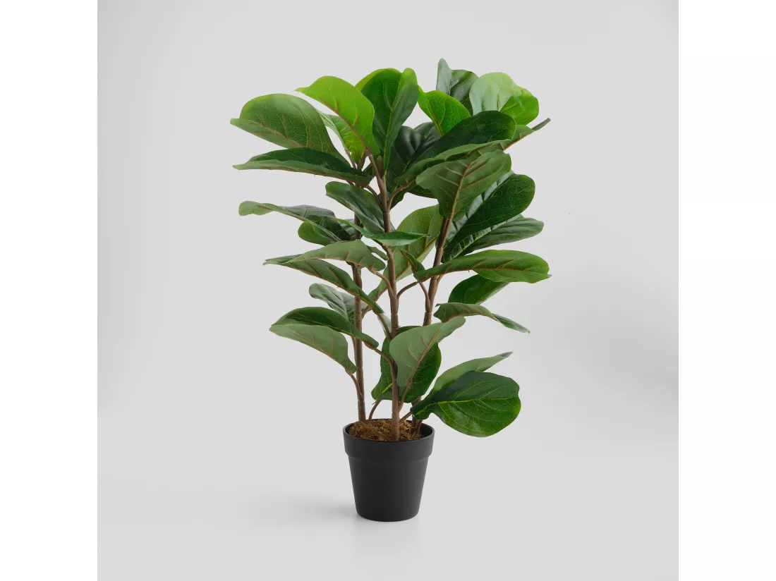 Composition Décorative Leafes vert moyen 64.5 x 30