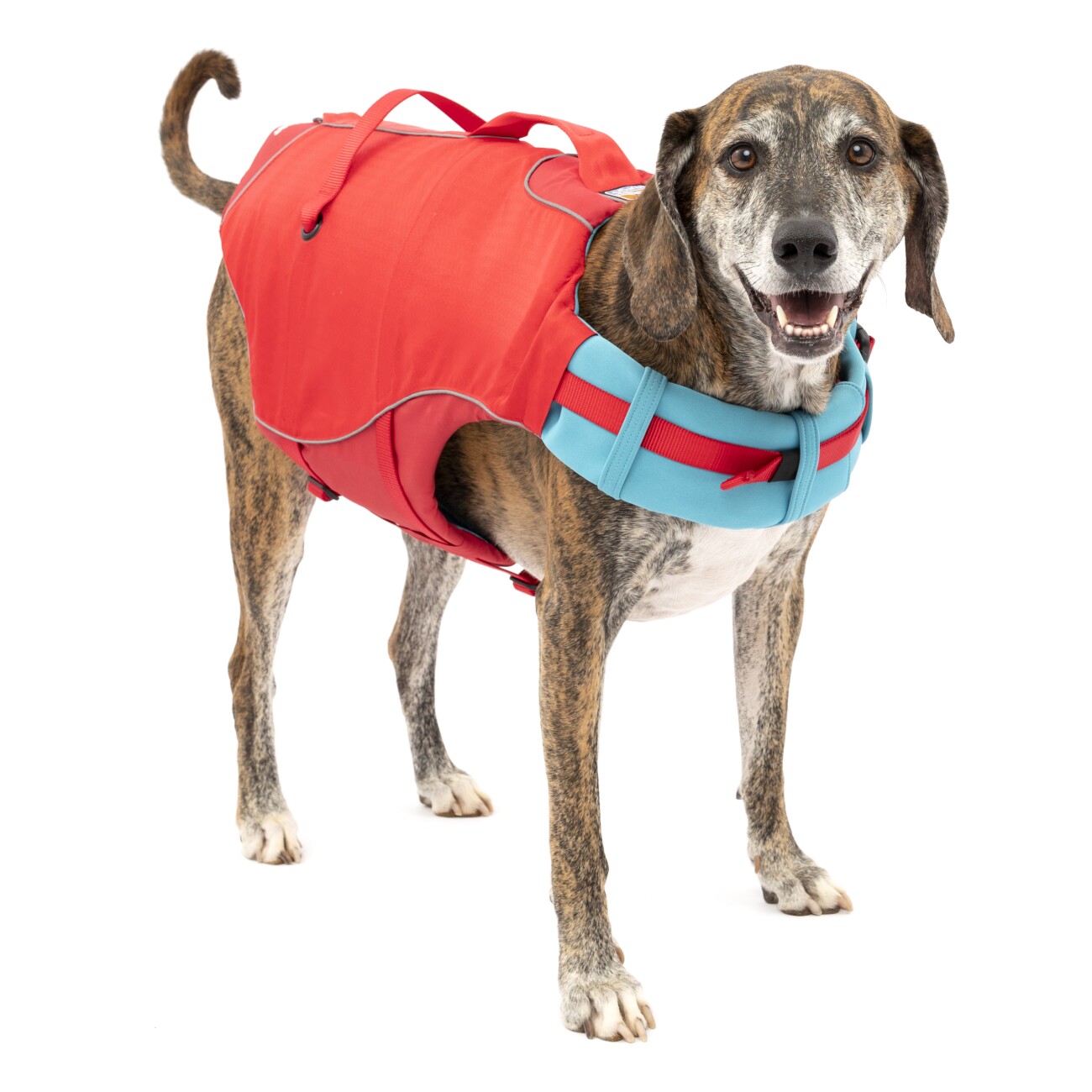 Kurgo Surf N Turf Hundeschwimmweste XL