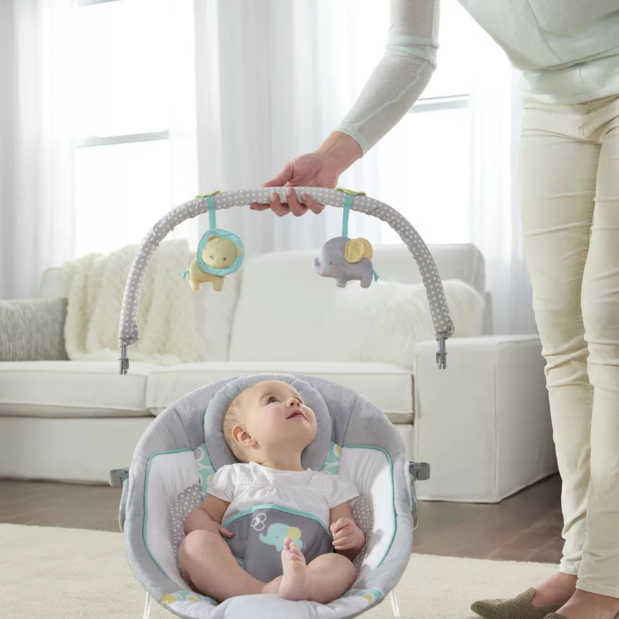Ingenuity Schaukelstuhl, Soothing Bouncer™ - Morrison