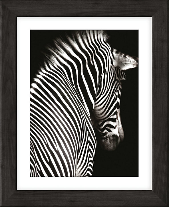 Photo encadrée adhésive Vinyl Way zèbre noir et blanc L.49 x l.40 cm