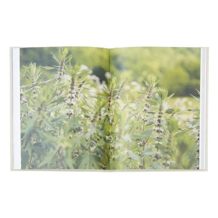 Thames & Hudson Plants for the People A Modern Guide to Plant Medicine - EN