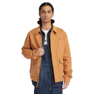 Blouson homme Strafford Insulated TIMBERLAND