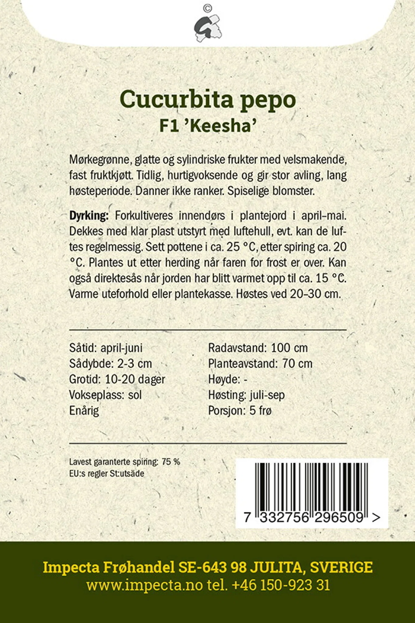 Cucurbita pepo F1 'Keesha' Squash F1 'Keesha'