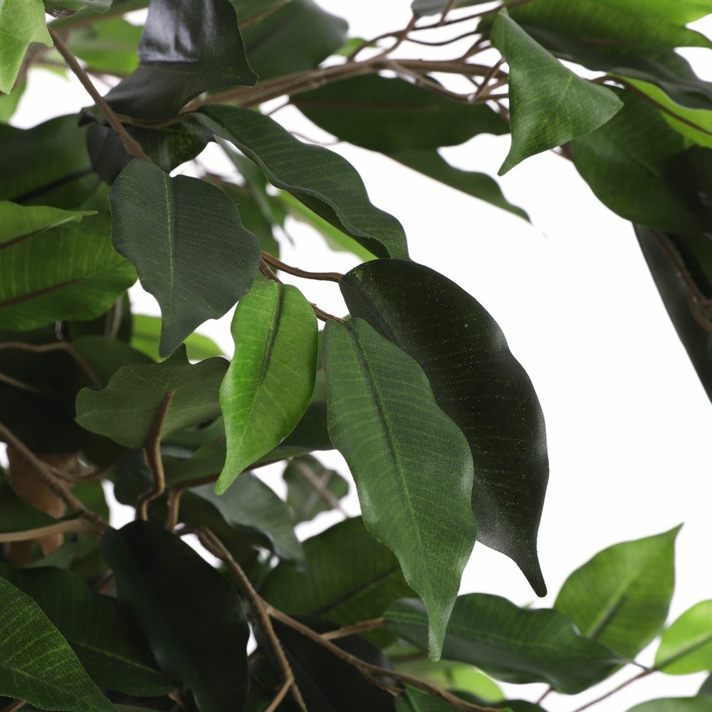 Mica decorations plante artificielle fiscus - 85x85x150 cm - pe - vert