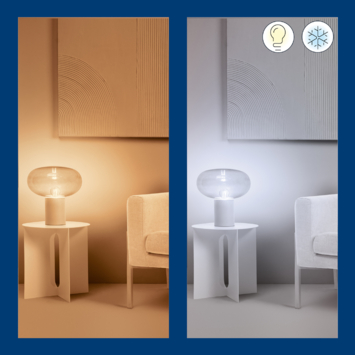 WiZ Connected LED peer E27 60W 2 stuks filament helder koel tot warmwit licht dimbaar