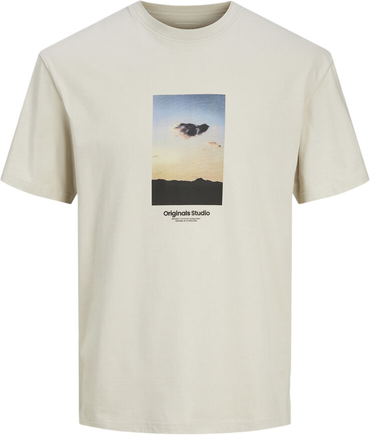 Jack & Jones JORVESTERBRO PICTURE TEE SS CREW JN Moonbeam/aw24