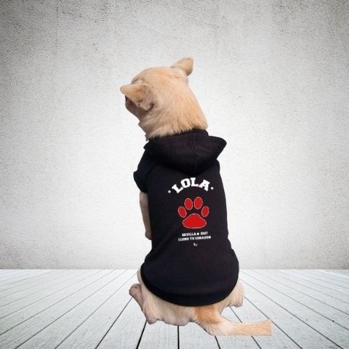 Moletom universitário para cães, vermelho