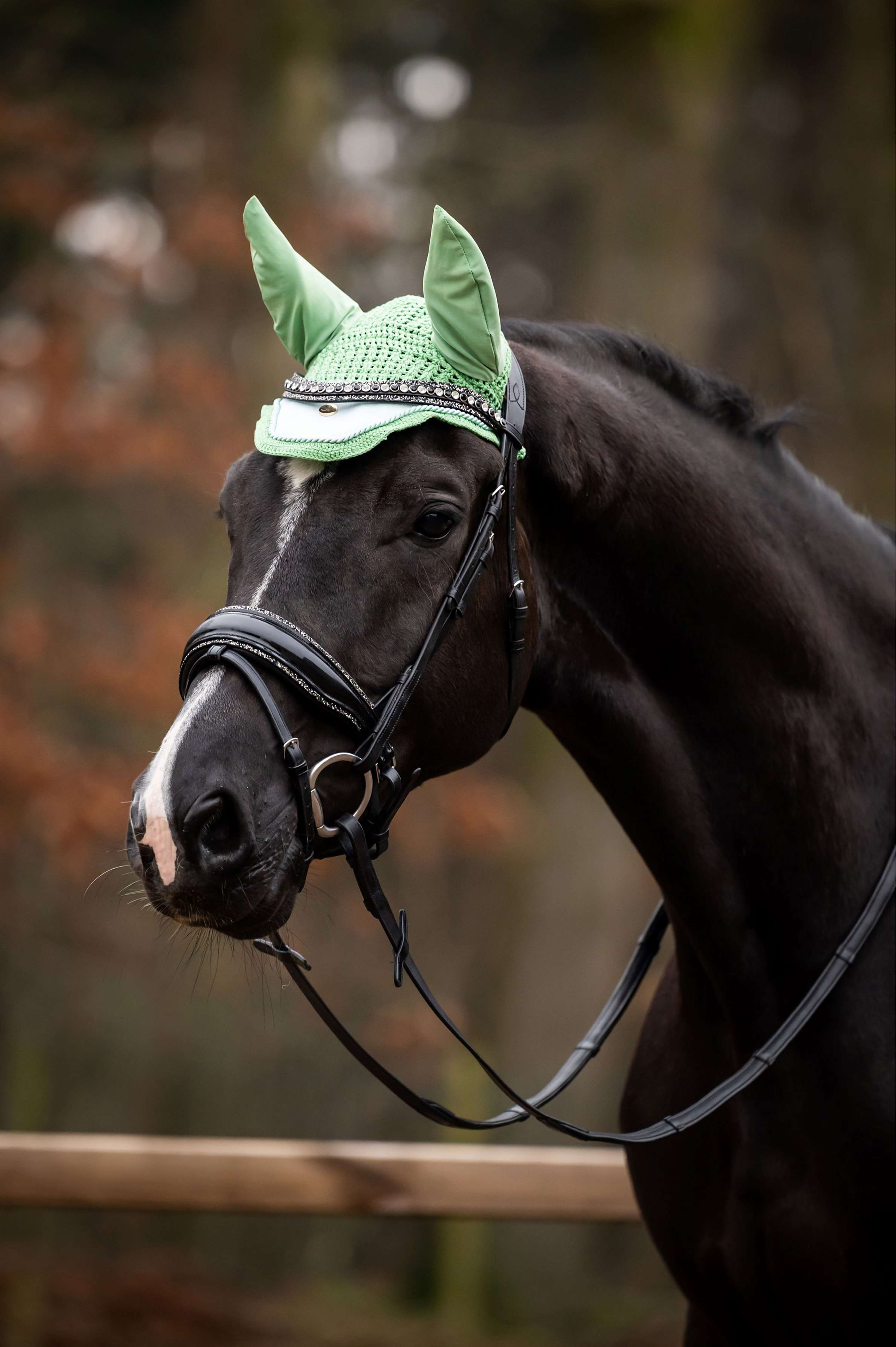 HB Showtime Oornetje Spring Mintgroen