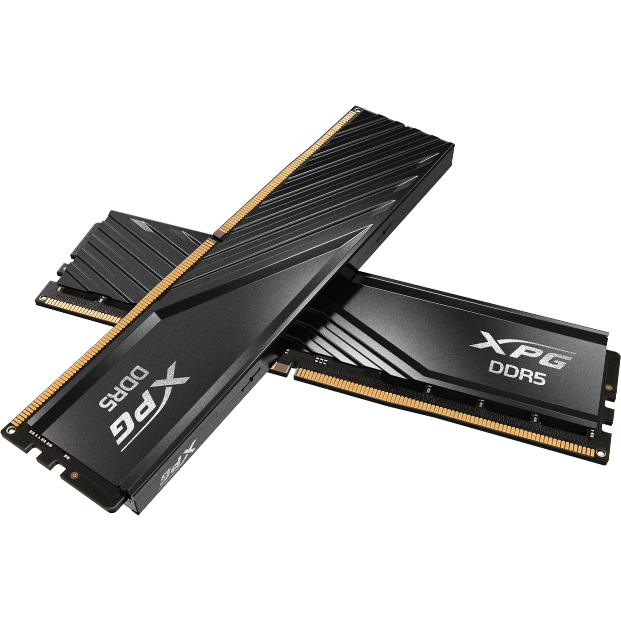 ADATA Arbeitsspeicher DIMM 32 GB DDR5-6000 (2x 16 GB) Dual-Kit