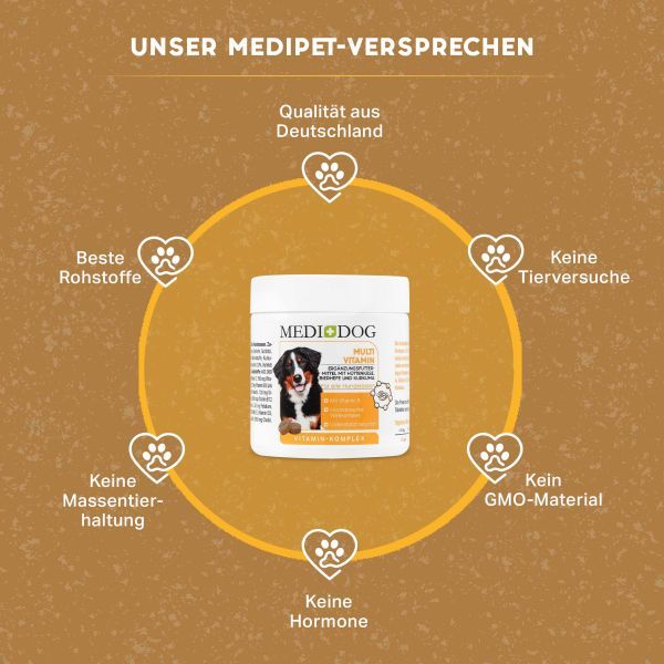 MEDIDOG Multivitamin Tabletten