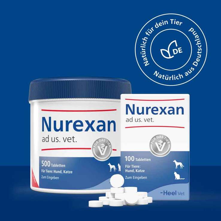 Nurexan ad us. vet. Tabletten , 100 St