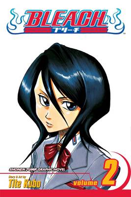 Bleach, Vol. 2 - Bleach 2 (Paperback)