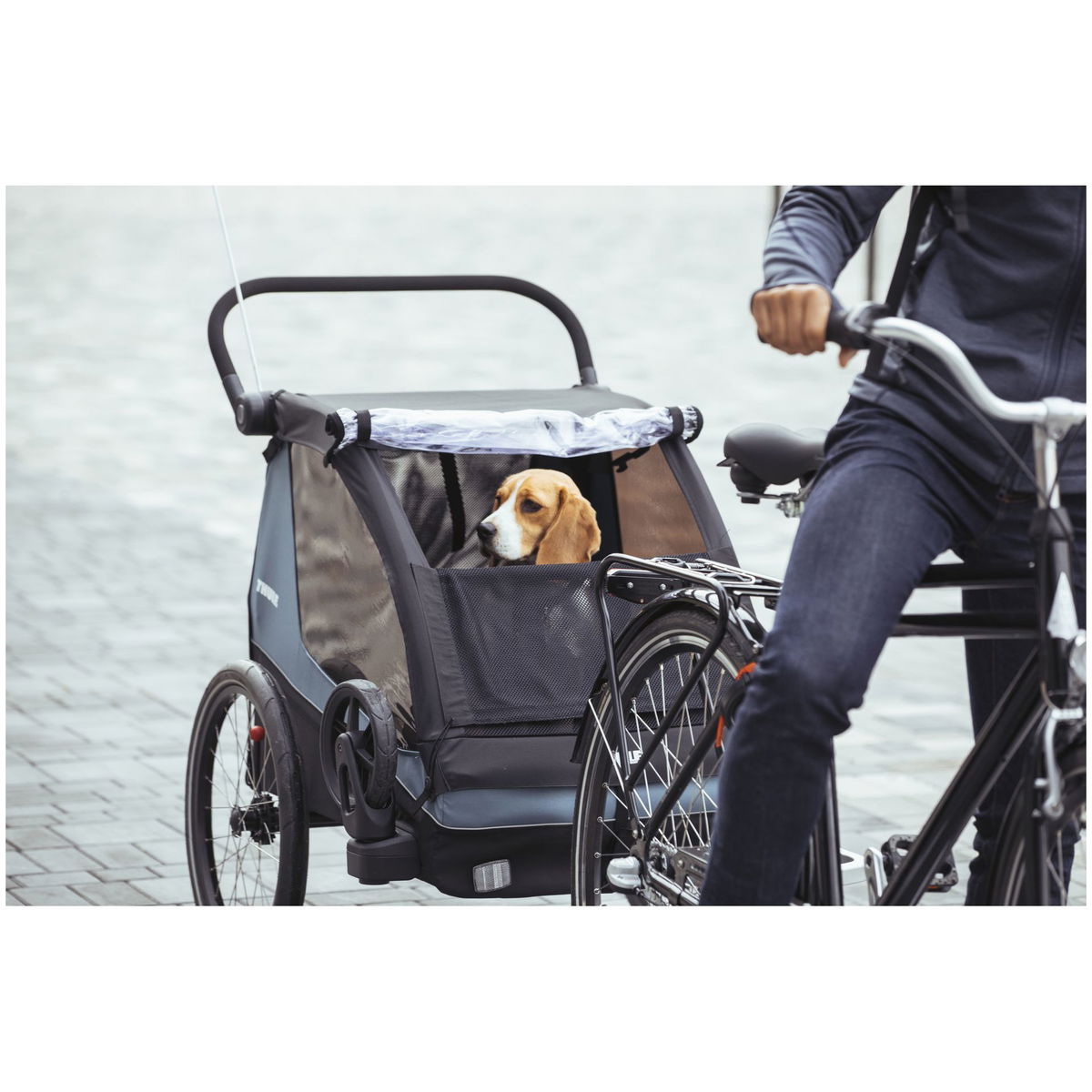 THULETHULE   Hundeset zu Courier