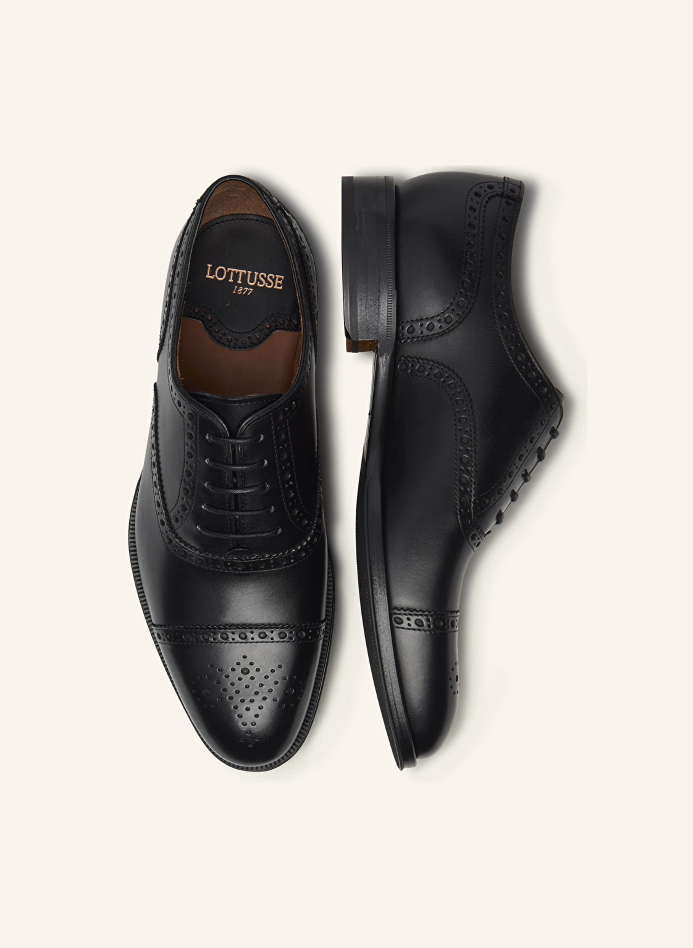 LOTTUSSE Oxford LENOX