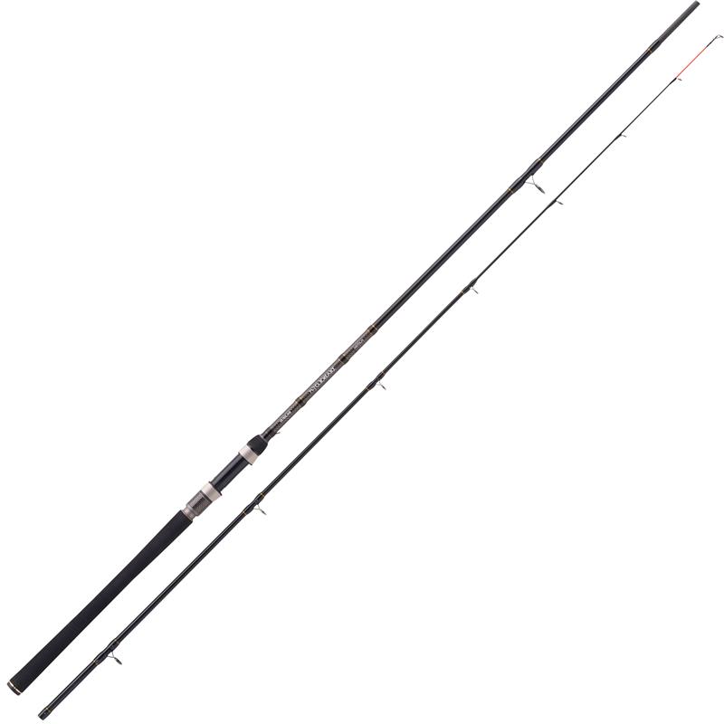 Canne Spinning Balzer Diabolo Fury Flatfish