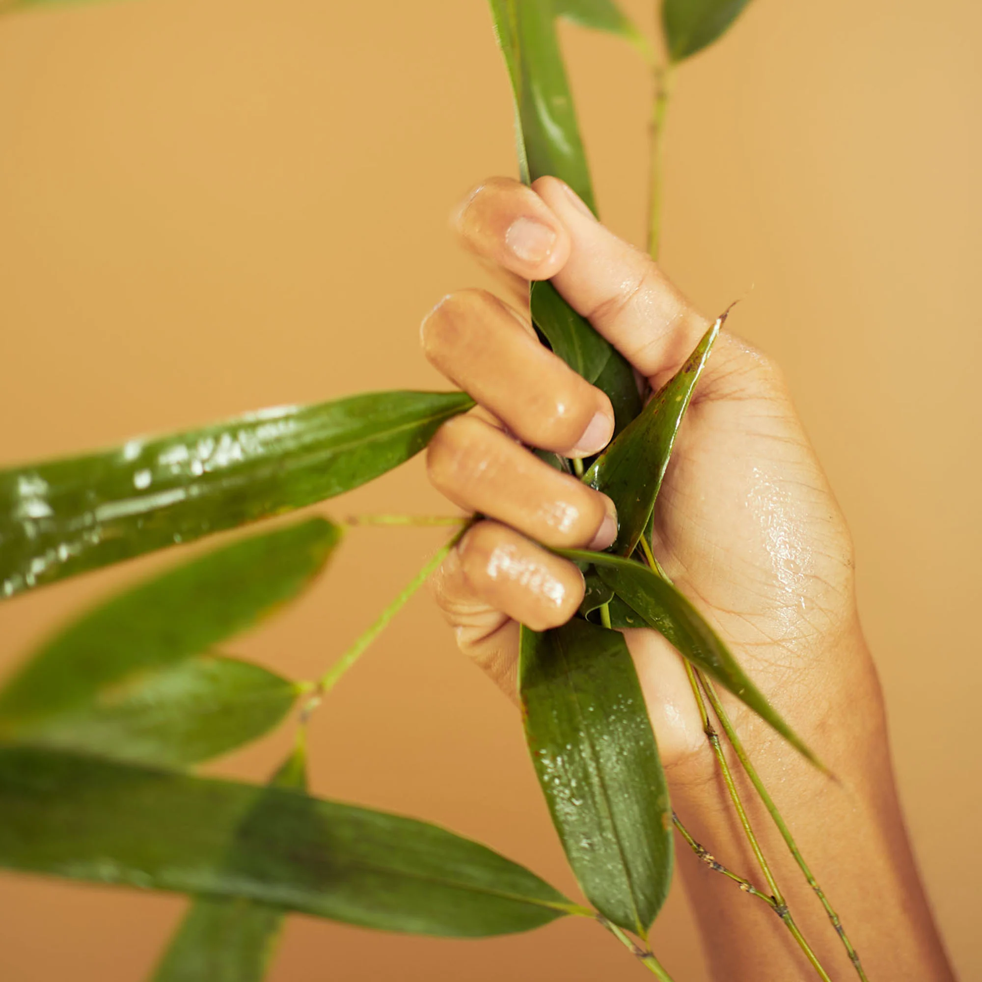Bamboo Waterlock - Masque d'Eau Repulpant |