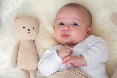 Jabadabado Gaveeske Buddy Teddy