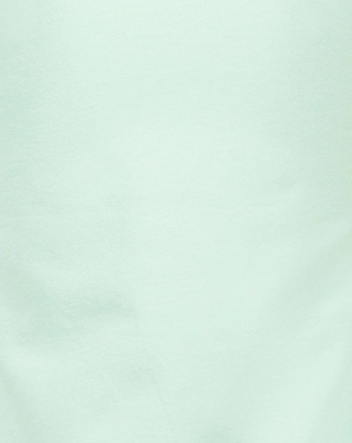 T-Shirt HORSES OF MY HEART in balsam green