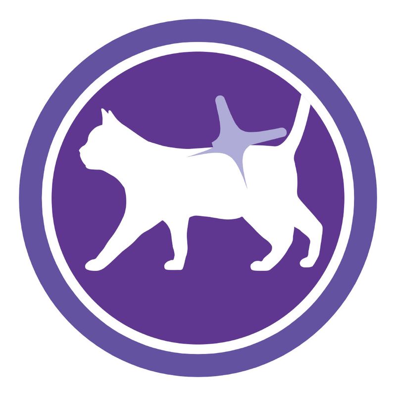 PURINA ONE Spécial Chat Sensible à la dinde à prix discount sur bitiba.fr