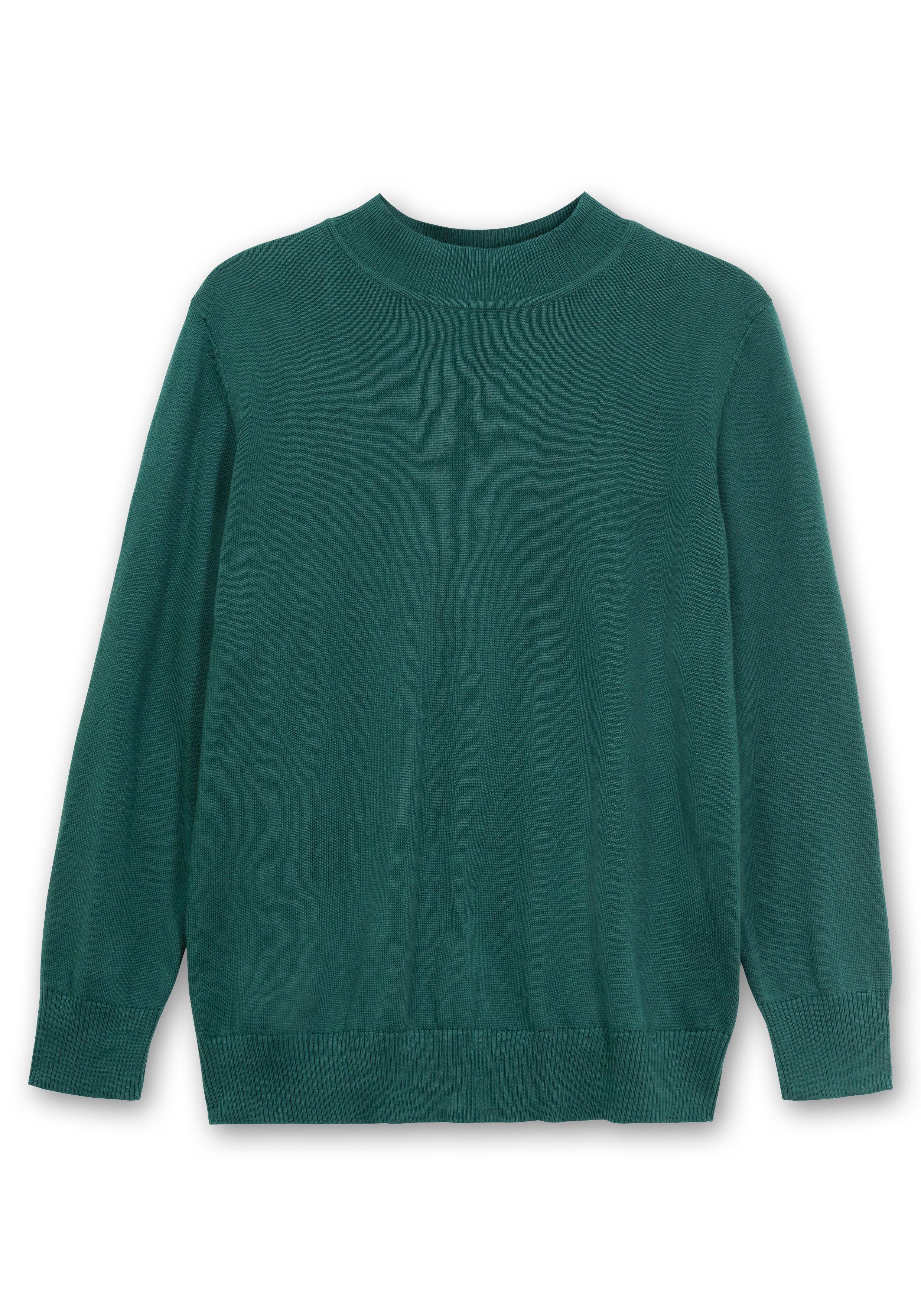 Pullover aus Feinstrick, mit Stehkragen
