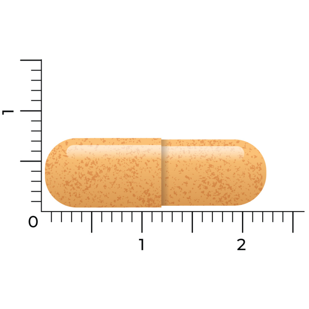 Vitakruid B-Complex Actief Zonder B690 vegacapsules