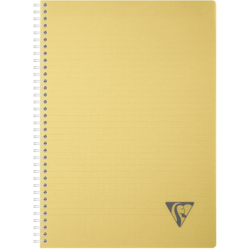 Cahier reliure intégrale Linicolor ESSENCE A4 180 pages grands carreaux couverture plastique polypropyène rainuré - Assortis