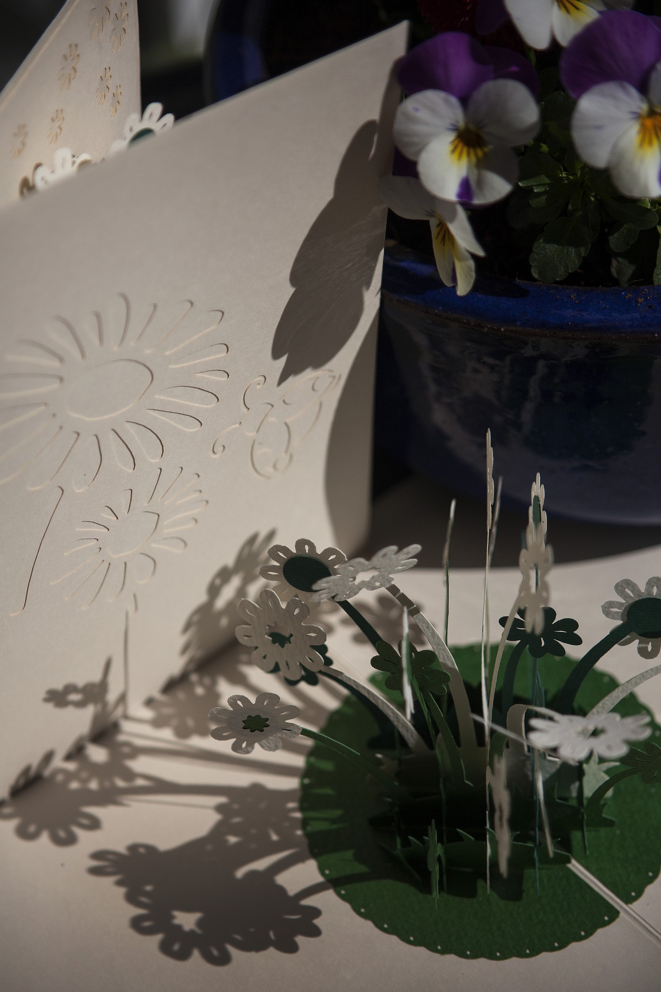 Pop-Up Karte 'Kleeblumen', weiß, L 18 cm, B 13 cm günstig bestellen