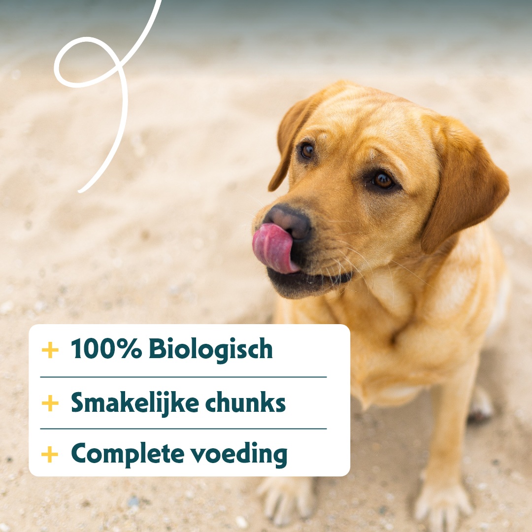 Yarrah - Natvoer Hond Blik Chunks met Kip Bio