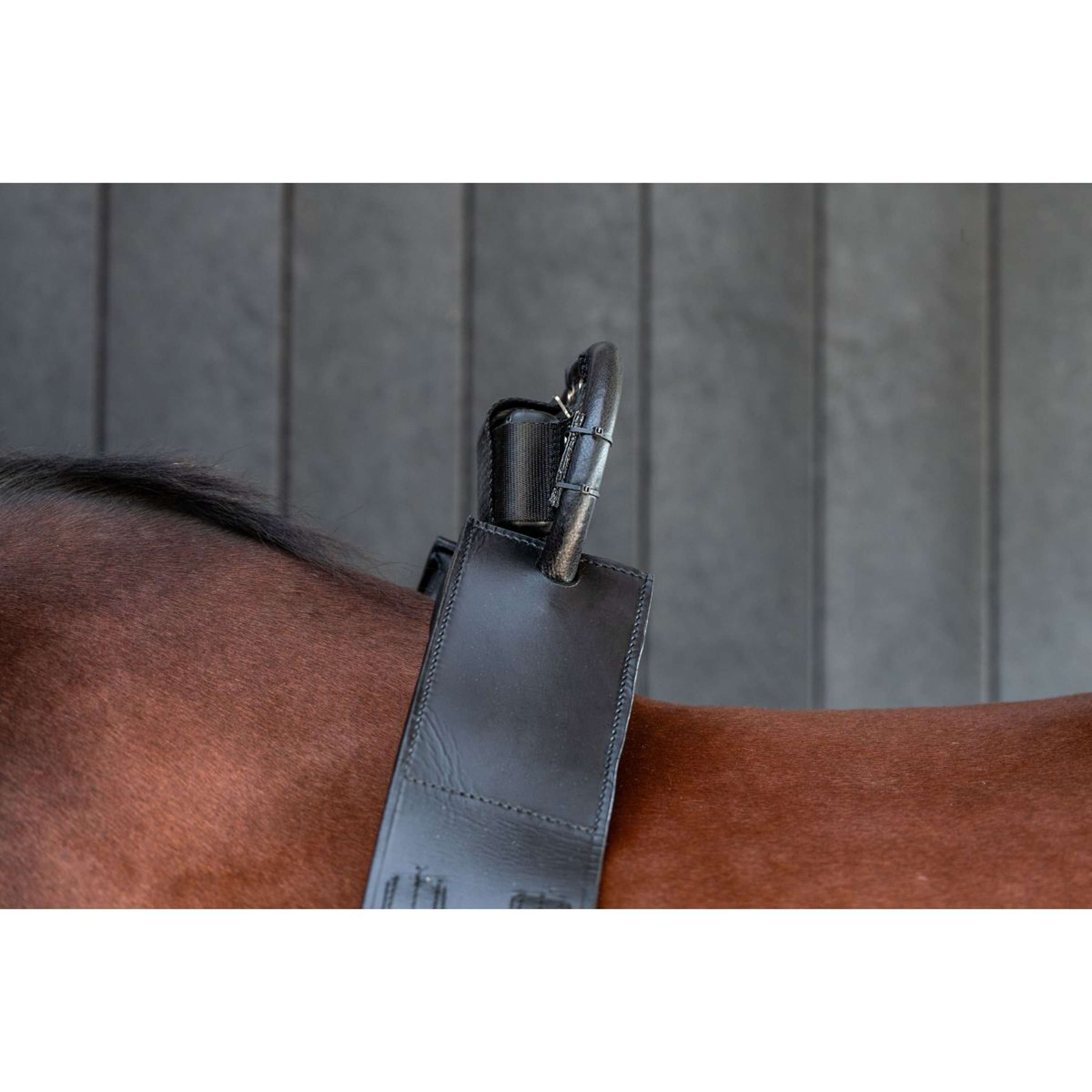 Birth Alarm Classic Compleet incl. Anti-Rolsingel
