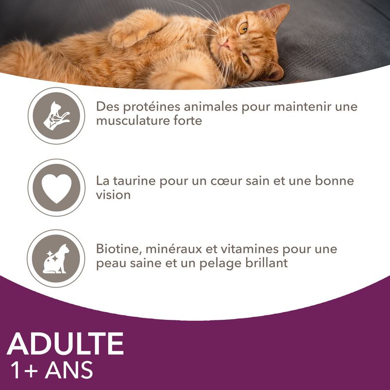 IAMS Delights Adult en sauce 12 x 85 g