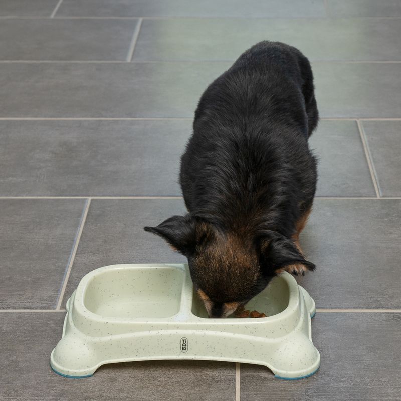 Gamelle double TIAKI pour chien et chat