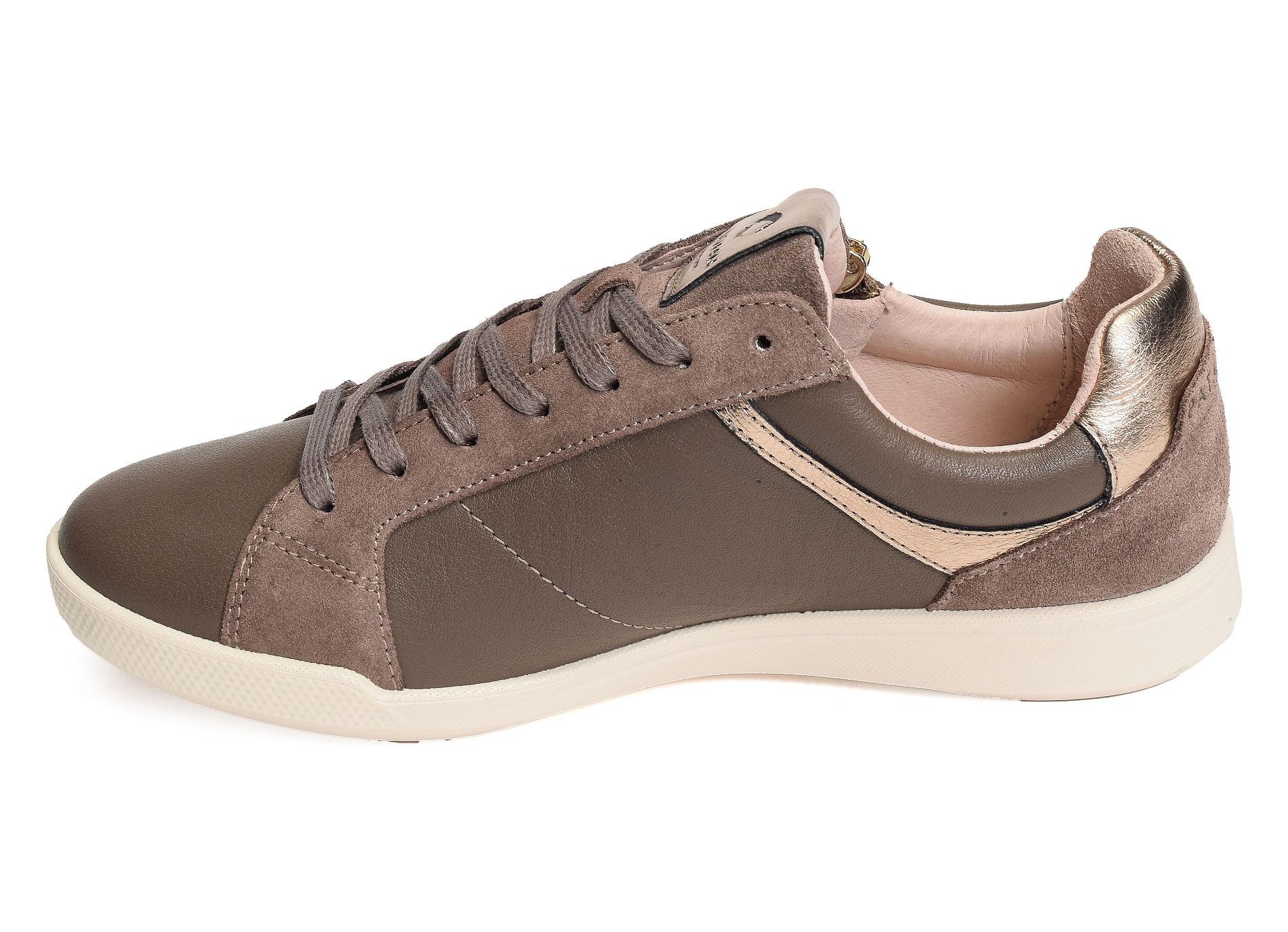 Palme l taupe