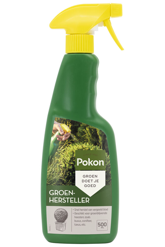 Pokon Buxus groen hersteller - Siertuinmeststof - 500 Milliliter