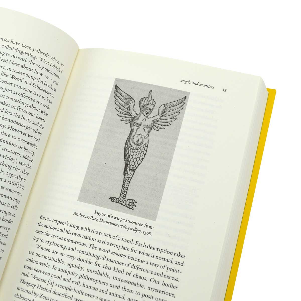 Art Monsters: Unruly Bodies in Feminist Art (Hardback)
